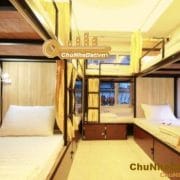 Bán hostel Bùi Viện phố tây Quận 1 – 7 phòng 50 giường tầng